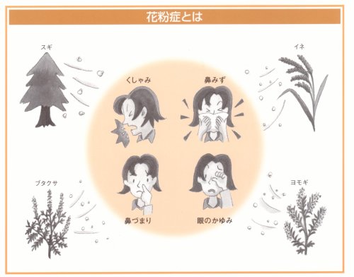 花粉症とは