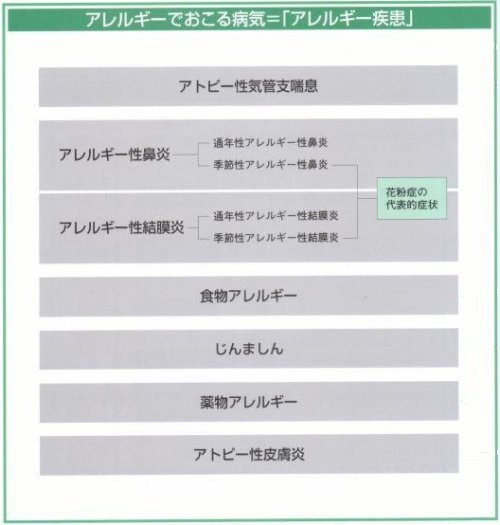 アレルギーでおこる病気