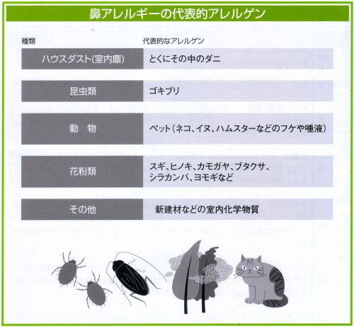 鼻アレルギーの代表的なアレルゲン