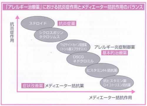 抗炎症作用とメディエーター拮抗作用のバランス