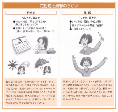 花粉症と風邪のちがい