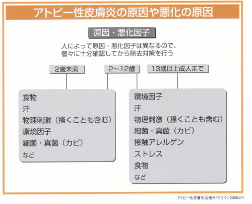 アトピー性皮膚炎の原因や悪化の原因